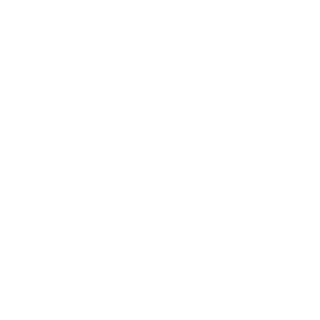 SlayerHaut's emblem