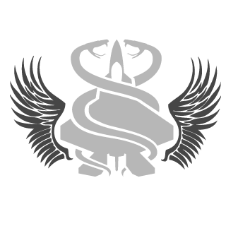 STORM GSZ's emblem