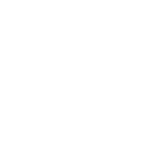 DownCasH's emblem