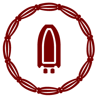 VsooM's emblem