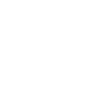 JL-SiZ's emblem