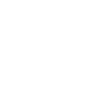 FoX_timmy1's emblem