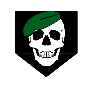 PanssariNilkki's emblem