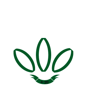 DarkwingDuckk's emblem