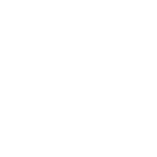 33-4Na-hanshin's emblem