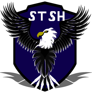StEaLtH Shooter's emblem