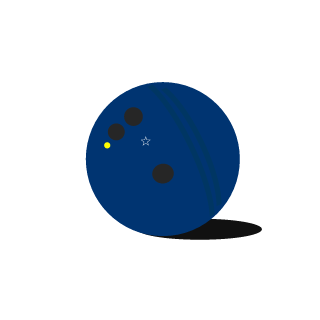 bowlNwhsprer's emblem