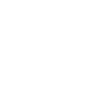 seeye's emblem