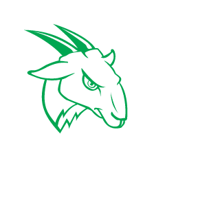 TheGreatNoobsy's emblem
