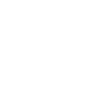 TheRedKing1337's emblem