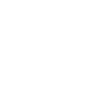 shaojinbiao's emblem