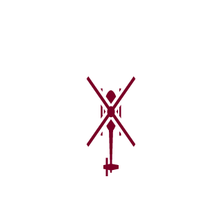 fasolr's emblem