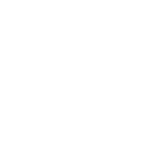 FireEyeEian's emblem