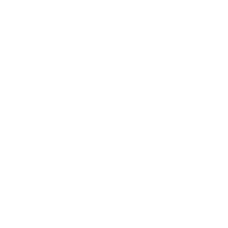 NullySinner's emblem