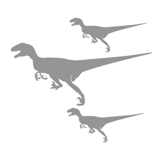 Raptor2Sk's emblem
