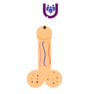 Brickz28's emblem