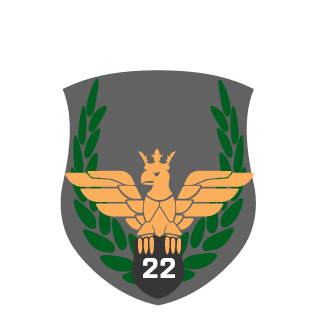 h0meless22's emblem