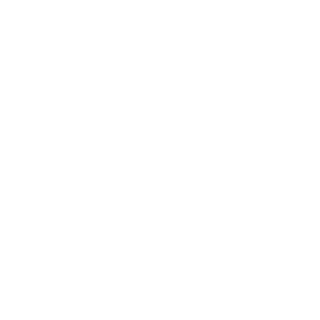 iiB1's emblem