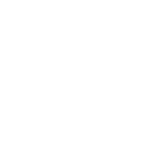 skrucik's emblem