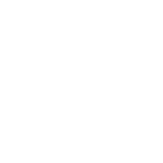2hustle's emblem