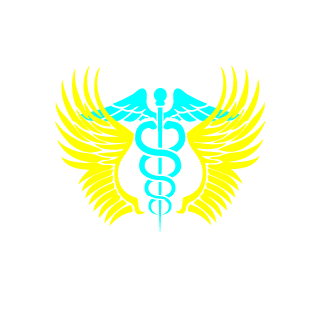 ZHUANGBOHAN's emblem