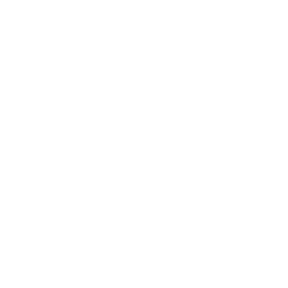 Dsquind's emblem