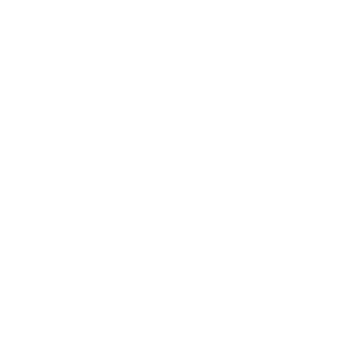BirthdaySoot-NZL's emblem
