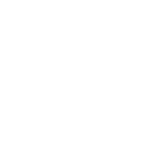 epsilonqy's emblem