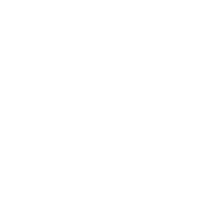 Zikfrid1988's emblem