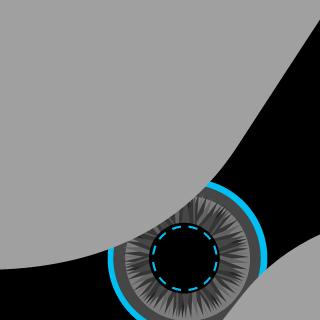 HeldenDerFront's emblem