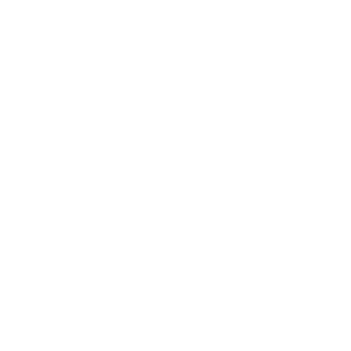 Crazy_Loppster's emblem