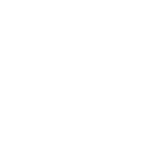 em3ds's emblem