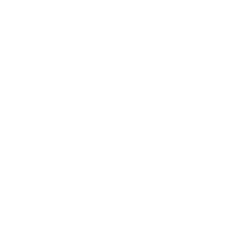 vadiz's emblem
