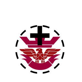aesthetic_wizard's emblem