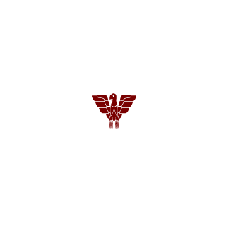 TSB-BFFocusTTV's emblem