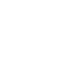 NordicPower's emblem