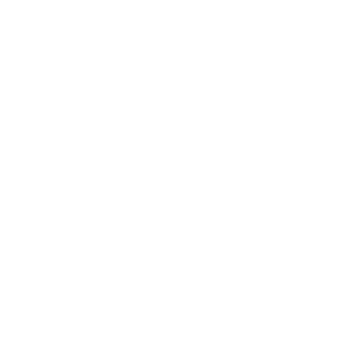 IIIPAKOIII's emblem