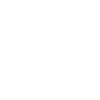 Flipitr's emblem