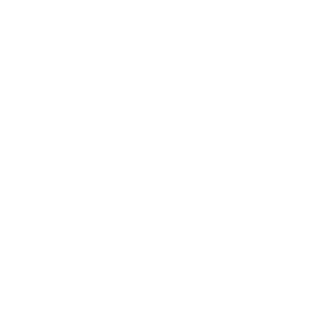 21-Carbine's emblem