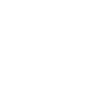anzacsoldier1's emblem
