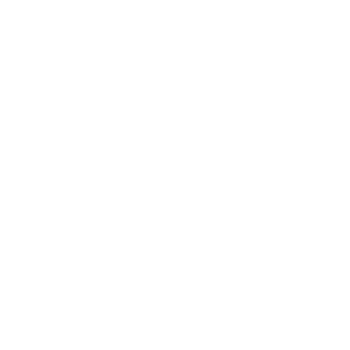 Srebryk's emblem