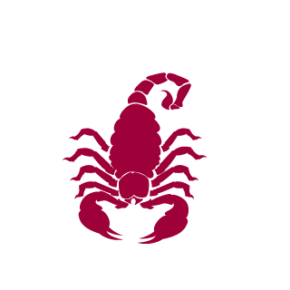 SyrragaT's emblem