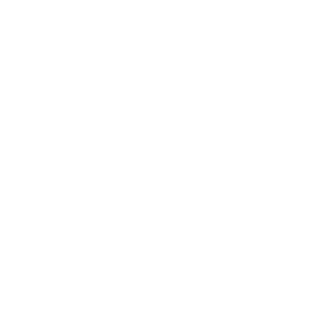 NO_K0RWA_NIE's emblem