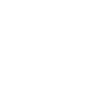 Dmitriy316's emblem