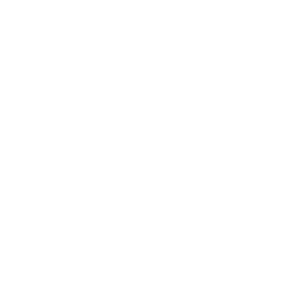 1337anon's emblem