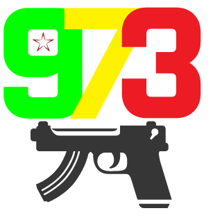 Sanxandre973's emblem