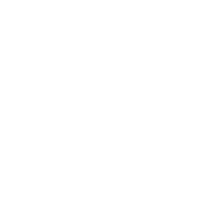 DividedByZero_I's emblem