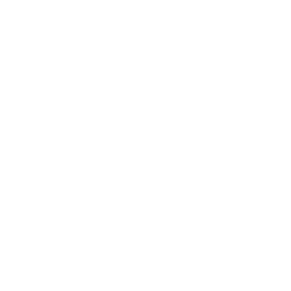 shayannoelpal's emblem