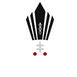 carlosdkk's emblem