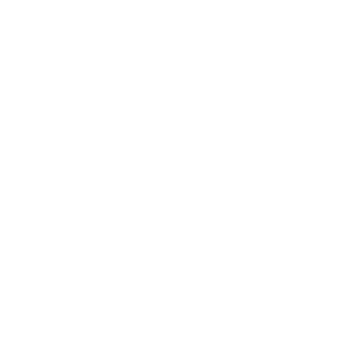 Xi TURN3R iX's emblem